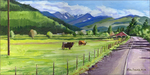 Cows Mountains Meadows Landscape