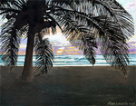 Beach sunset Ucatan Tulum Palm Tree sunrise