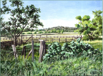 Ranch fence landscape eastern washington oregon