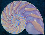 Fractal Spiral Chamber Nautilus