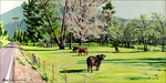 Cows Meadows Landscape